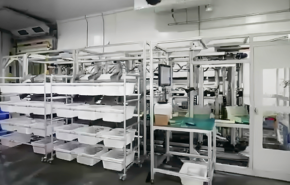0°C cold chain: compact sorting in a 30 m² equipment footprint